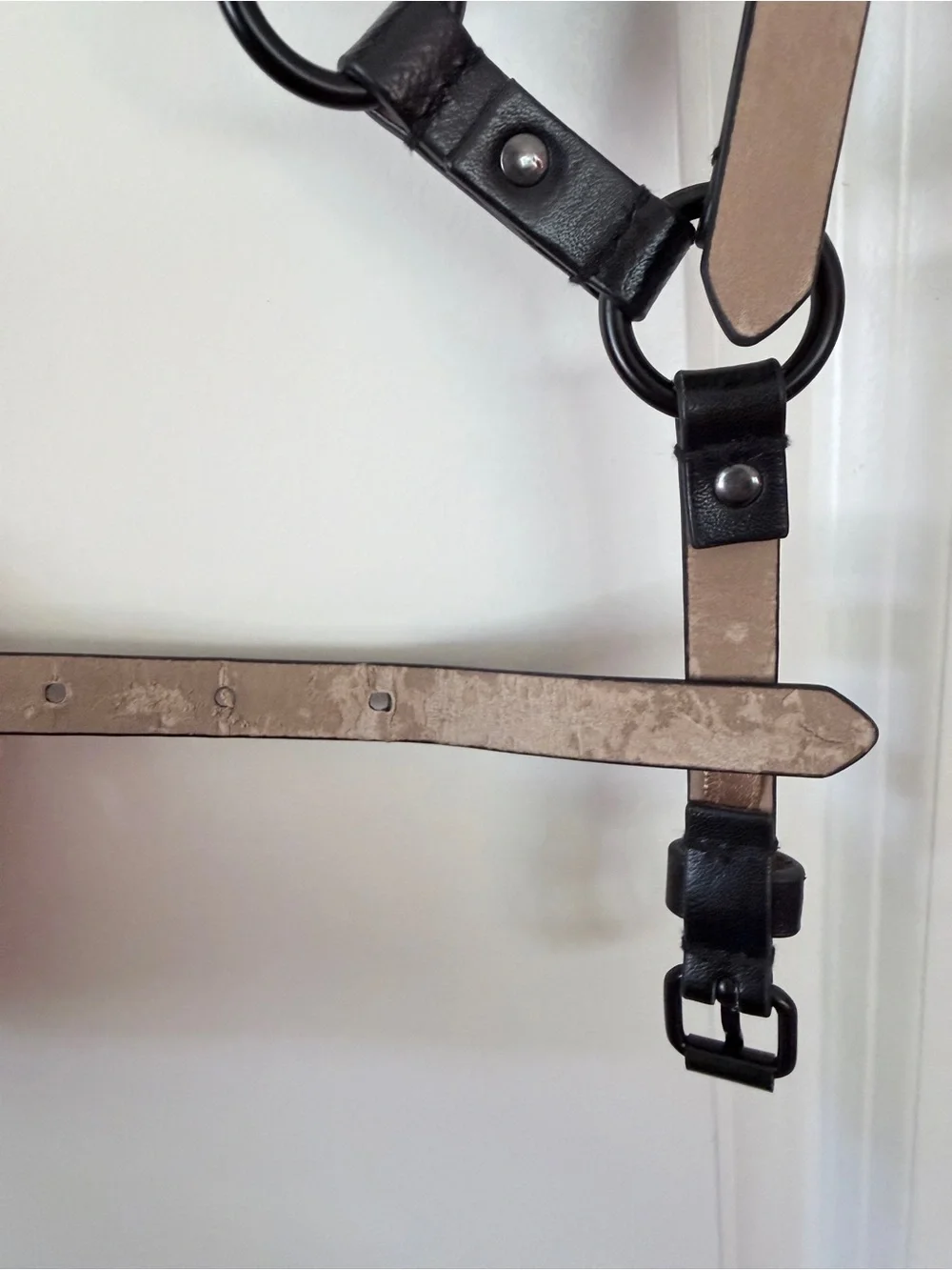 BCBGMaxAzria Black Leather Harness Belt